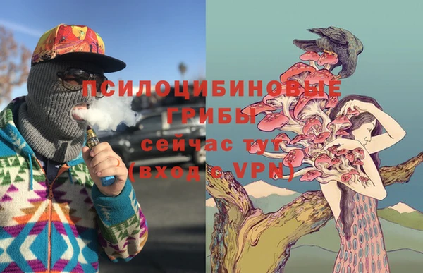 трава Бородино