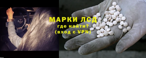 трава Бородино