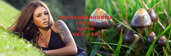 трава Бородино