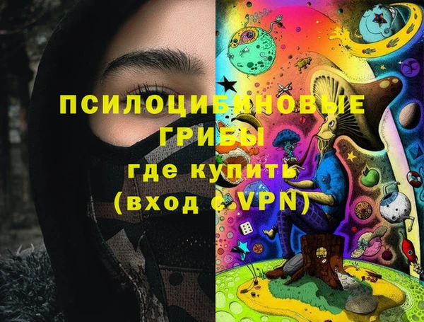трава Бородино