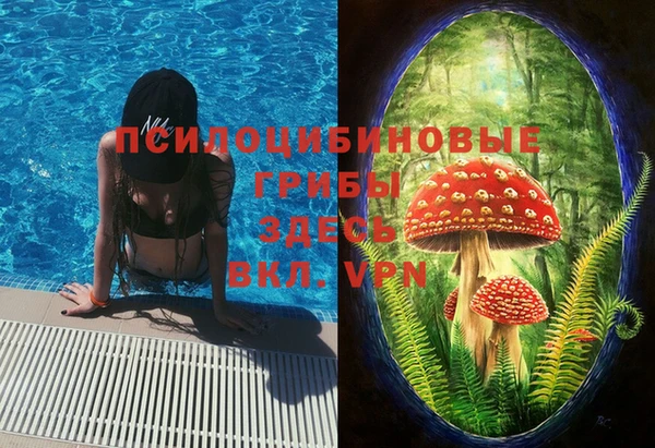 трава Бородино