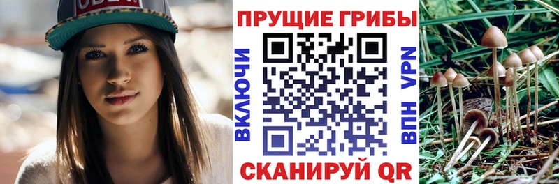 Галлюциногенные грибы мицелий закладки Киселёвск
